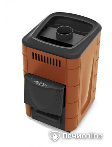 Дровяная печь-каменка TMF Компакт 2017 Inox ДА КТК терракота в Калининграде